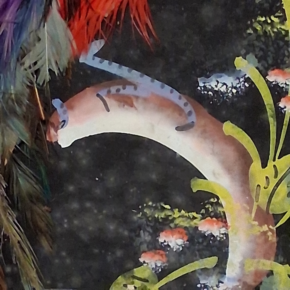 Source Unknown Vibrant Feather Art in Wooden Frame - Picture 6 of 7